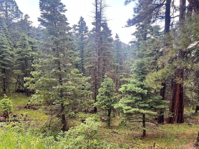 County Rd 406, Cuchara, CO 81055 - photo 3
