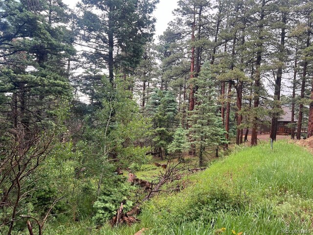 County Rd 406, Cuchara, CO 81055 - photo 4