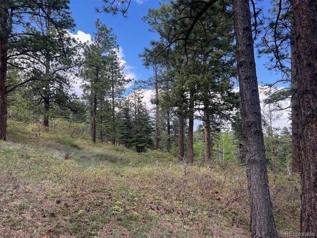 County Rd 406, Cuchara, CO 81055 - photo 5