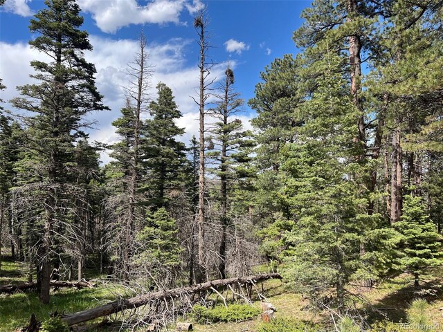 County Rd 406, Cuchara, CO 81055 - photo 7