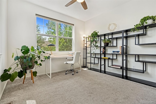7140 Simms St Unit 102, Arvada, CO 80004 - photo 18