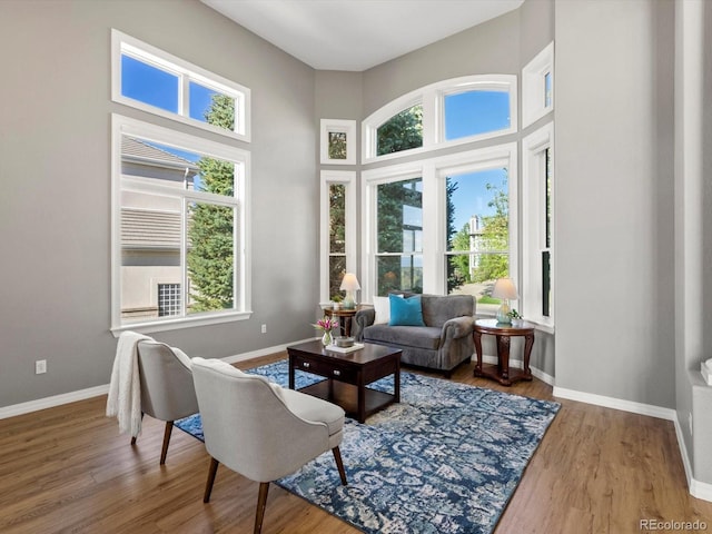 10531 Lieter Pl, Lone Tree, CO 80124 - living area featuring baseboards, wood finished floors, and a high ceiling