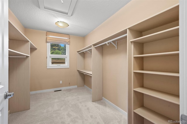 4398 Carter Trl, Boulder, CO 80301 - spacious closet featuring carpet