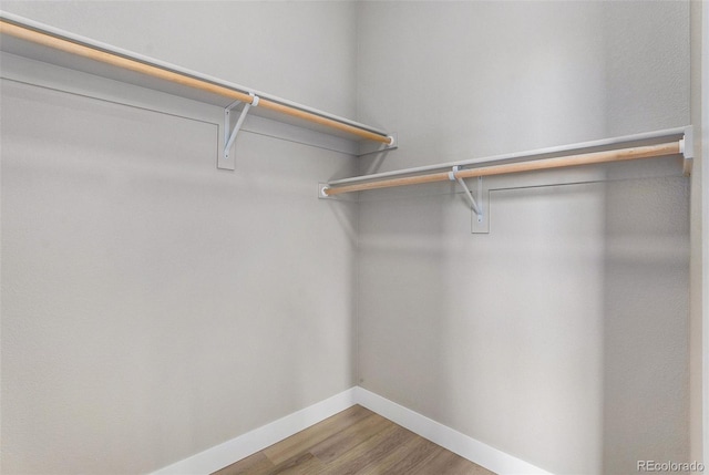 spacious closet featuring hardwood / wood-style floors