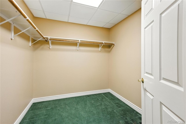 31200 E 145th Ave, Brighton, CO 80603 - spacious closet with dark colored carpet and a drop ceiling