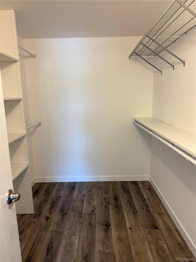 walk in closet featuring dark wood-type flooring