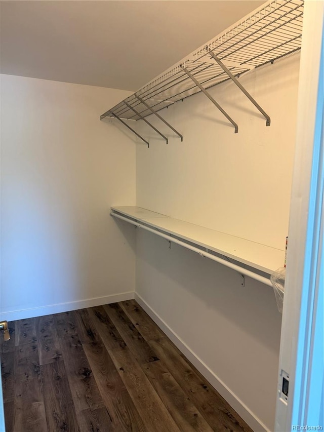 spacious closet featuring dark wood-style floors