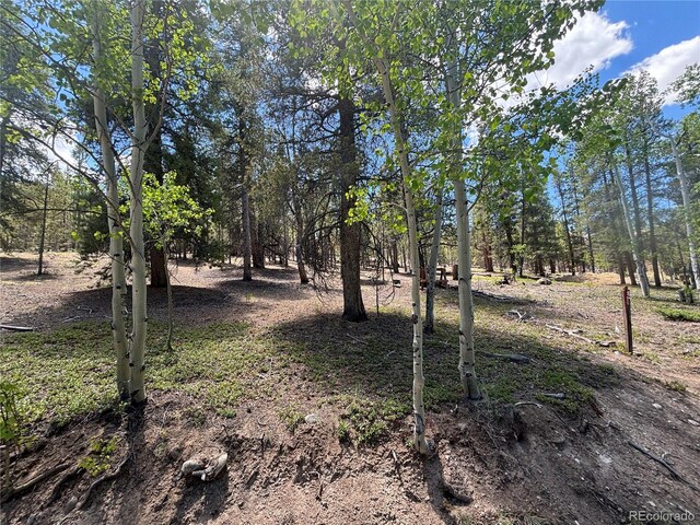 738 Lodgepole Dr, Twin Lakes CO, 81251 land for sale