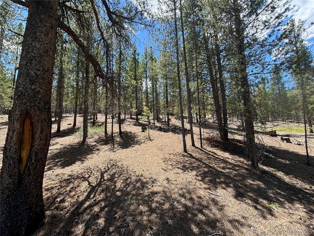 Listing photo 2 for 738 Lodgepole Dr, Twin Lakes CO 81251