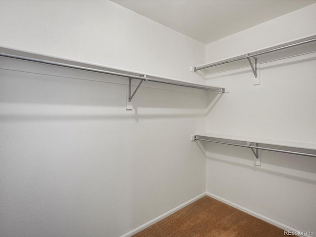 2548 Foothills Canyon Ct, Highlands Ranch, CO 80129 - walk in closet with dark carpet