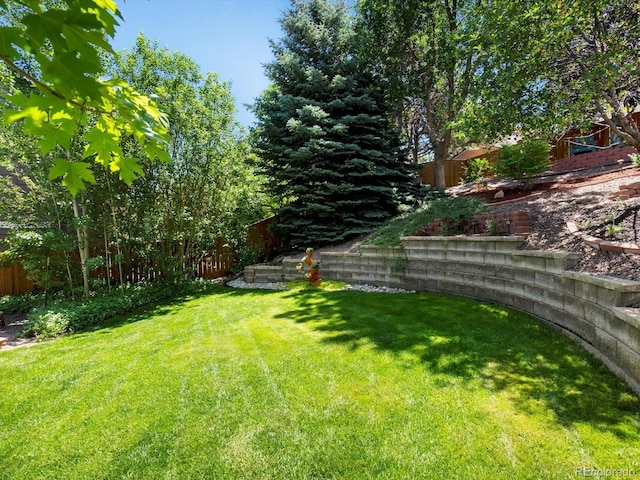 2548 Foothills Canyon Ct, Highlands Ranch, CO 80129 - view of fenced backyard