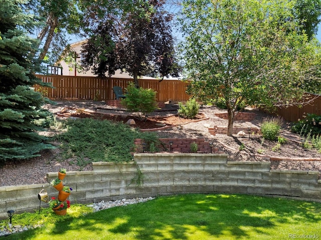 2548 Foothills Canyon Ct, Highlands Ranch, CO 80129 - view of yard