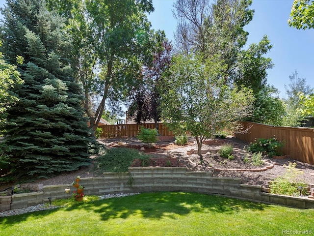 2548 Foothills Canyon Ct, Highlands Ranch, CO 80129 - view of fenced backyard