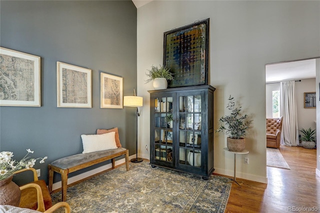 5397 S Killarney St, Centennial, CO 80015 - living area with a towering ceiling and wood finished floors