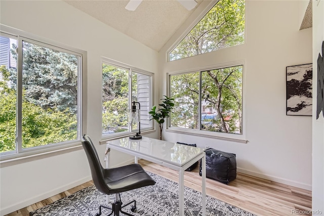 office area featuring lofted ceiling, light hardwood / wood-style floors, ceiling fan, and a healthy amount of sunlight