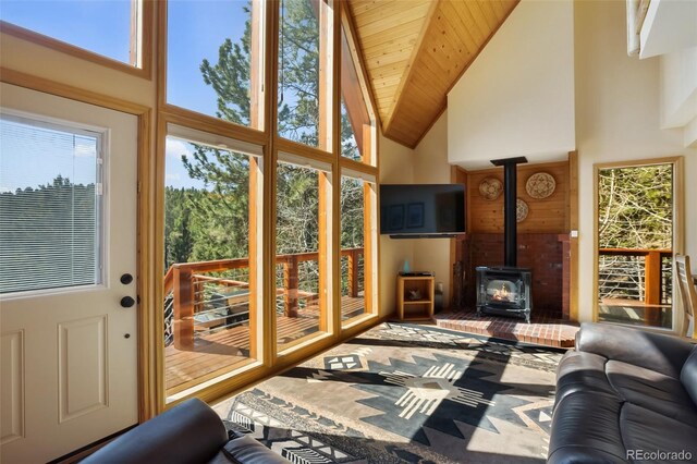 204 Kutsu Ridge Rd, Florissant, CO 80816