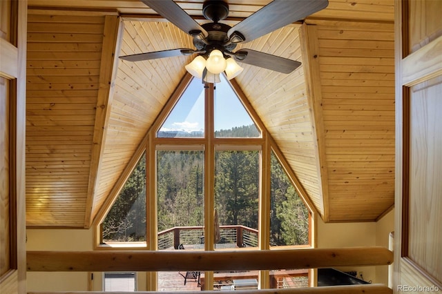 204 Kutsu Ridge Rd, Florissant, CO 80816