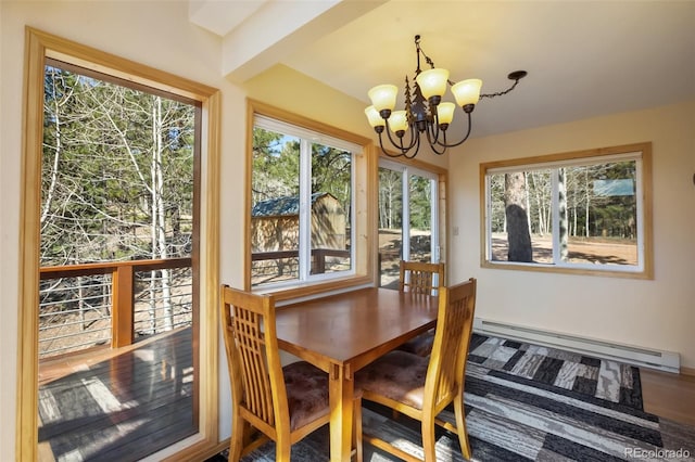 204 Kutsu Ridge Rd, Florissant, CO 80816