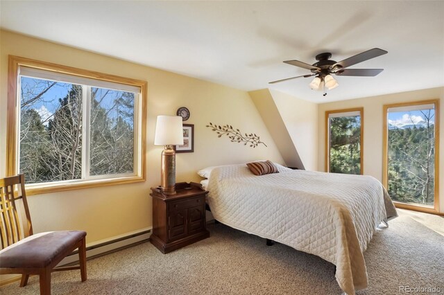 204 Kutsu Ridge Rd, Florissant, CO 80816