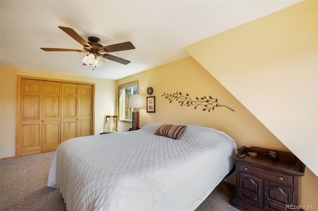 204 Kutsu Ridge Rd, Florissant, CO 80816