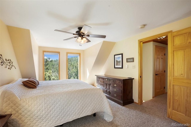204 Kutsu Ridge Rd, Florissant, CO 80816