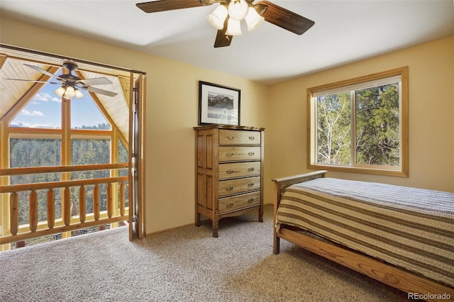 204 Kutsu Ridge Rd, Florissant, CO 80816