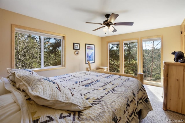 204 Kutsu Ridge Rd, Florissant, CO 80816
