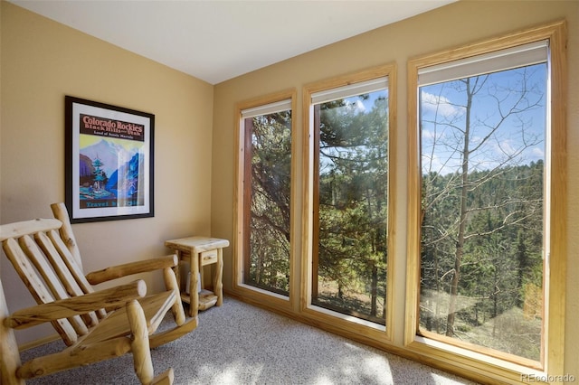 204 Kutsu Ridge Rd, Florissant, CO 80816