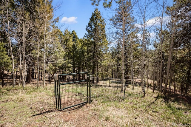 204 Kutsu Ridge Rd, Florissant, CO 80816