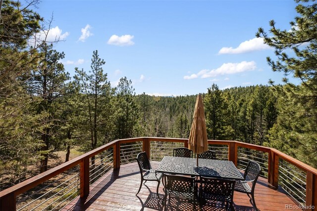 204 Kutsu Ridge Rd, Florissant, CO 80816