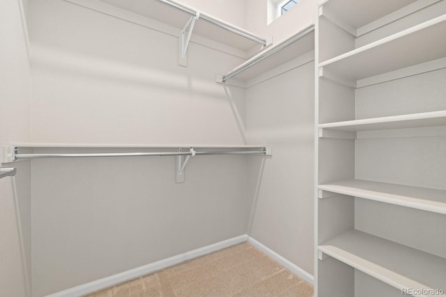 walk in closet with carpet