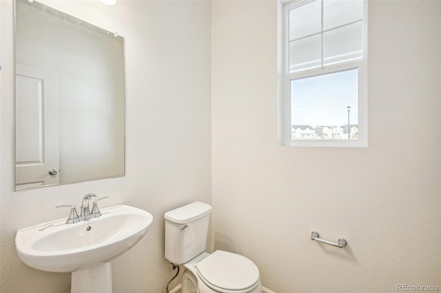 bathroom featuring sink and toilet