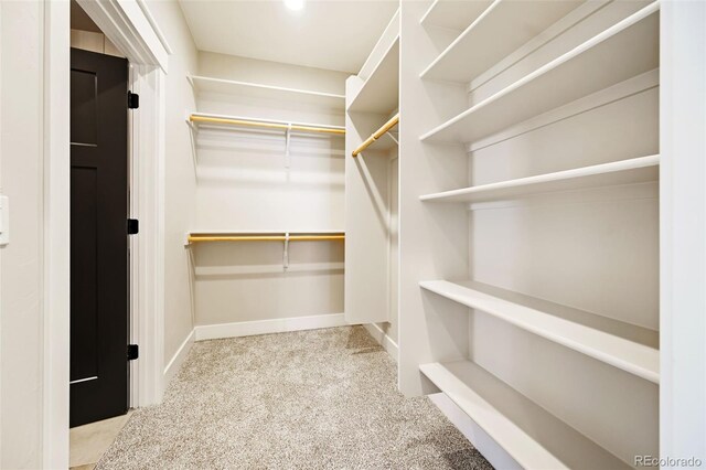 walk in closet featuring light carpet