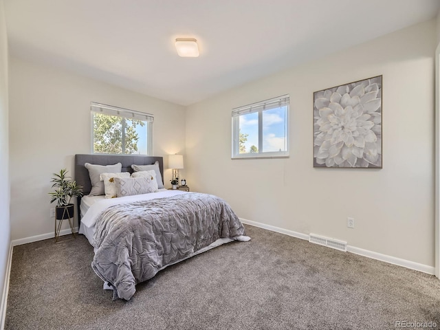 carpeted bedroom with multiple windows