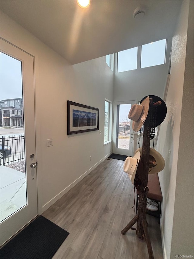 foyer featuring hardwood / wood-style flooring