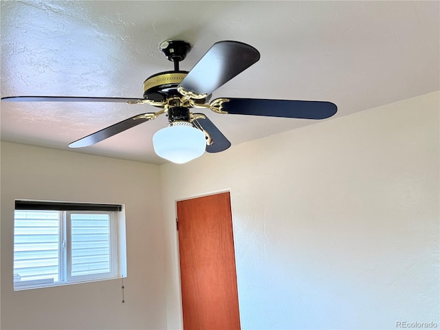 1300 Lima St, Aurora, CO 80010 - photo 15