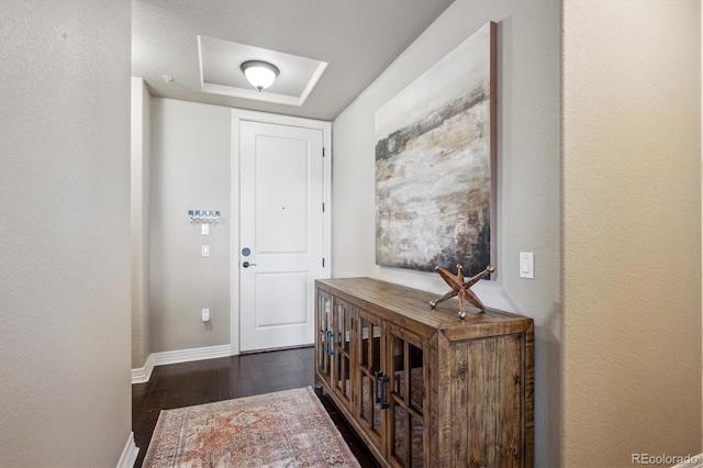 foyer featuring a raised ceiling and dark wood-type flooring