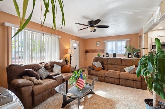 6267 Fenton St, Arvada, CO 80003