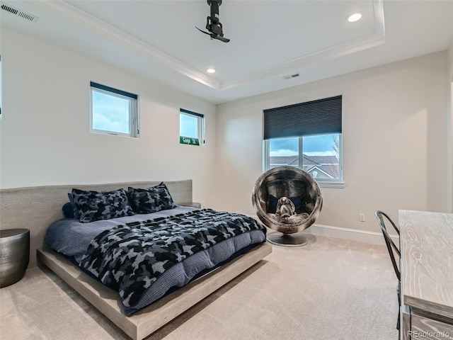 bedroom with carpet floors, multiple windows, and a raised ceiling