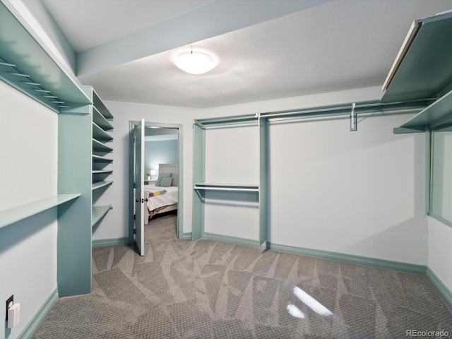 4825 6th St, Boulder, CO 80304 - walk in closet with carpet
