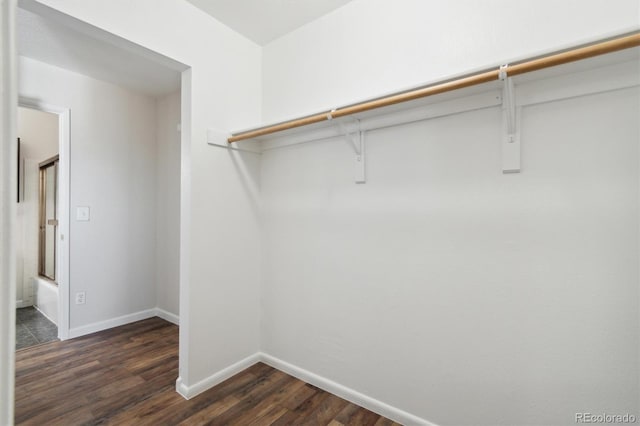 spacious closet featuring dark wood finished floors