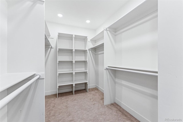 spacious closet featuring light colored carpet