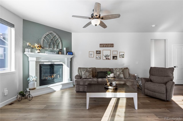 living room featuring ceiling fan and wood-type flooring