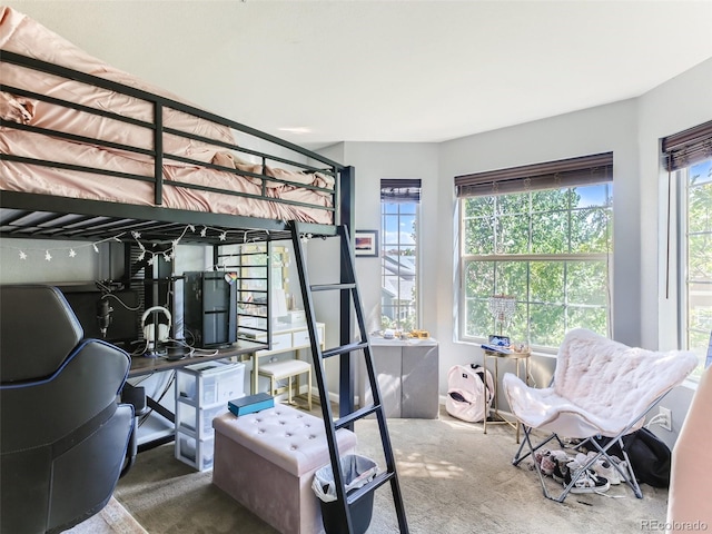 bedroom featuring multiple windows and carpet floors