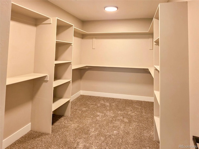 5550 Wetlands Dr, Longmont, CO 80504 - walk in closet with carpet