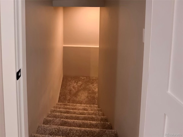 5550 Wetlands Dr, Longmont, CO 80504 - view of stairs