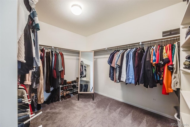 spacious closet featuring carpet flooring