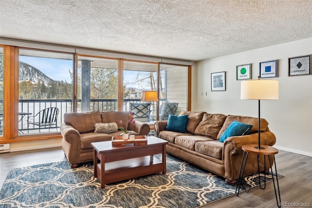 living room featuring dark hardwood / wood-style flooring, a mountain view, a textured ceiling, and a baseboard heating unit