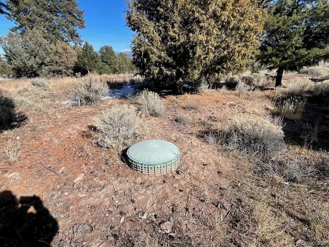 2032 White Tail Rd, San Luis, CO 81152 - photo 15