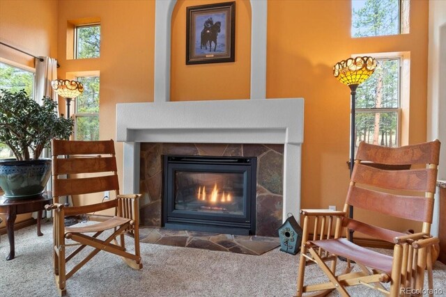 248 Pine Forest Rd, Lake George, CO 80827 - photo 5